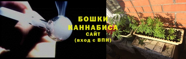 гашик Богданович