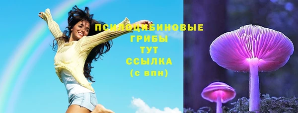 прущая мука Богородск