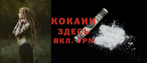 гашик Богданович