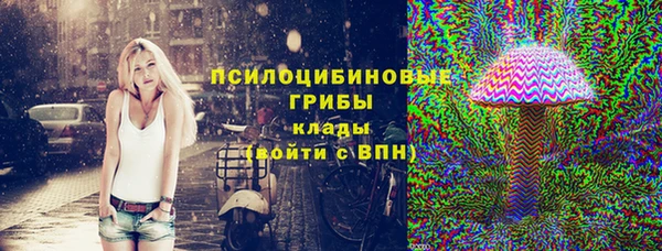 гашик Богданович