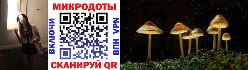 МЕГА зеркало  Будённовск  Галлюциногенные грибы Psilocybine cubensis  купить  